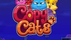 copy_cats_image