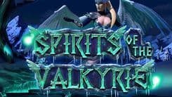 spirits_of_the_valkyrie_image
