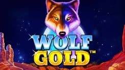 wolf_gold_image